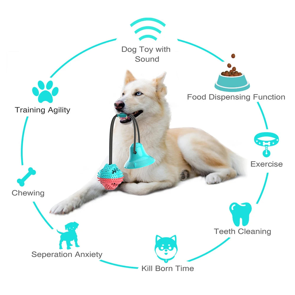 Molar Bite Interactive Dog Toy with Durable Rope and Suction Cup for Pulling/Chewing/Teeth Cleaning Self Playing Tog for Dogs