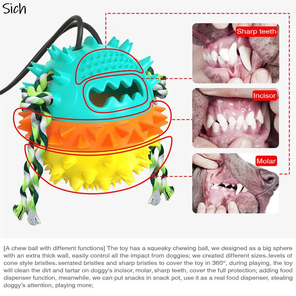 Upgrade Dog Toys Interactive Suction Cup Multifunctional Vacuum Suction Cup Pull Ropes Ball Chewing Squeaker For Toys